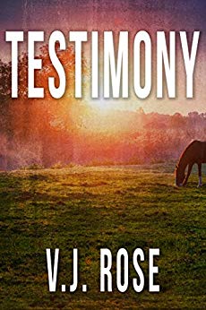 Testimony the novel